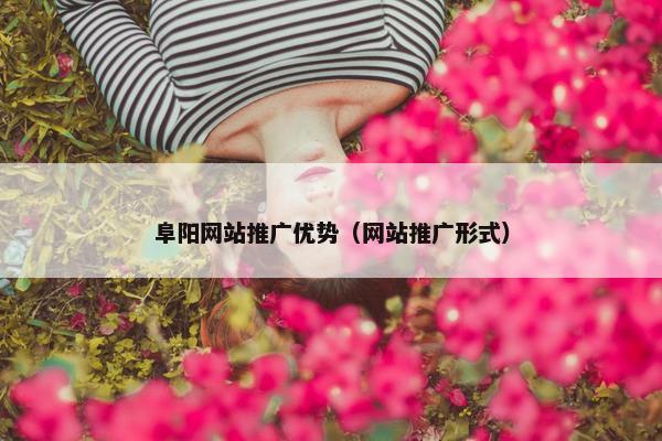 阜阳网站推广优势（网站推广形式）