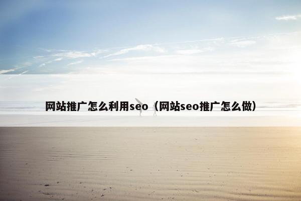 网站推广怎么利用seo（网站seo推广怎么做）