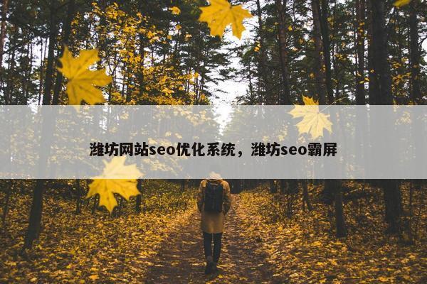 潍坊网站seo优化系统，潍坊seo霸屏