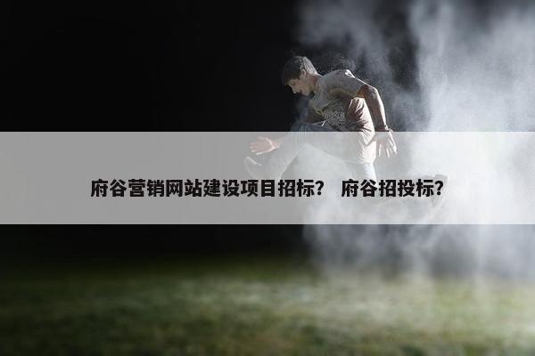 府谷营销网站建设项目招标？ 府谷招投标？