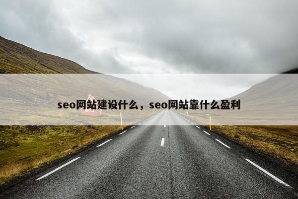 seo网站建设什么，seo网站靠什么盈利
