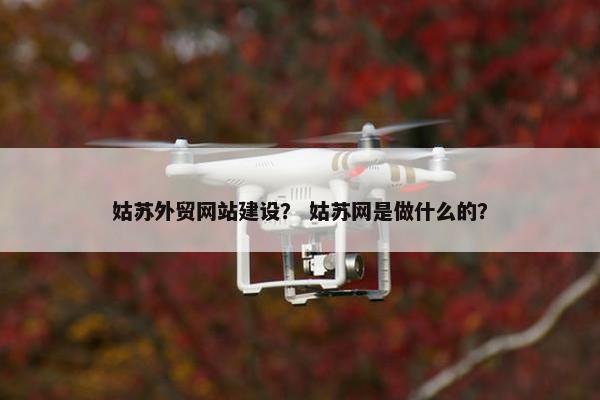姑苏外贸网站建设？ 姑苏网是做什么的？