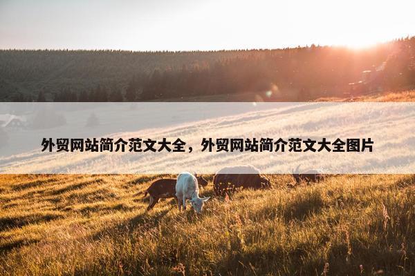 外贸网站简介范文大全，外贸网站简介范文大全图片