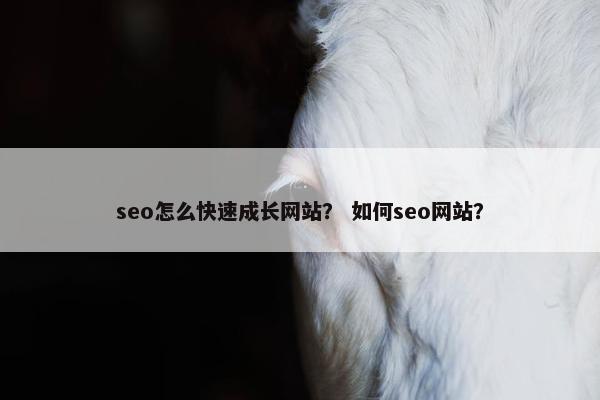 seo怎么快速成长网站？ 如何seo网站？