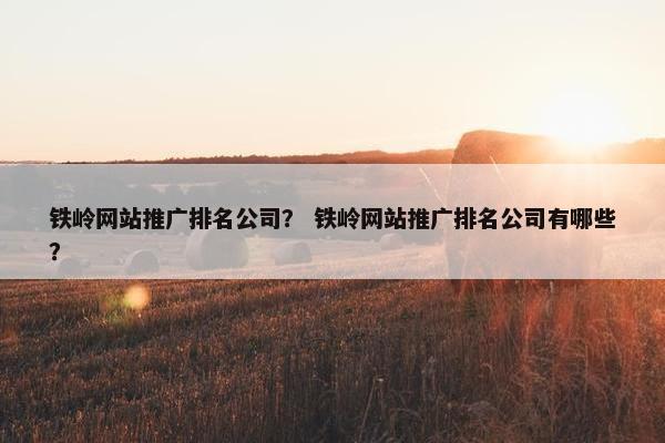 铁岭网站推广排名公司？ 铁岭网站推广排名公司有哪些？