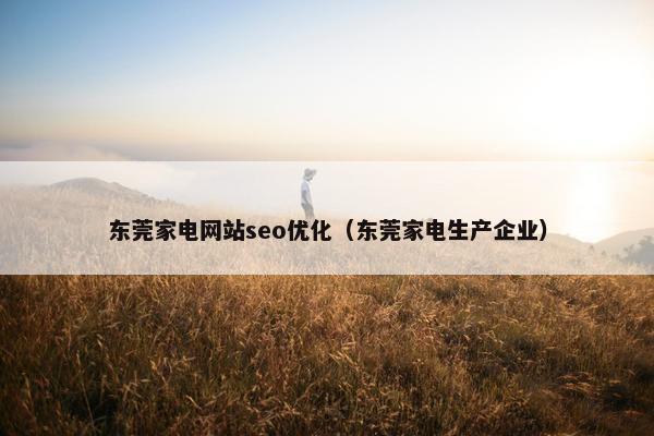 东莞家电网站seo优化（东莞家电生产企业）