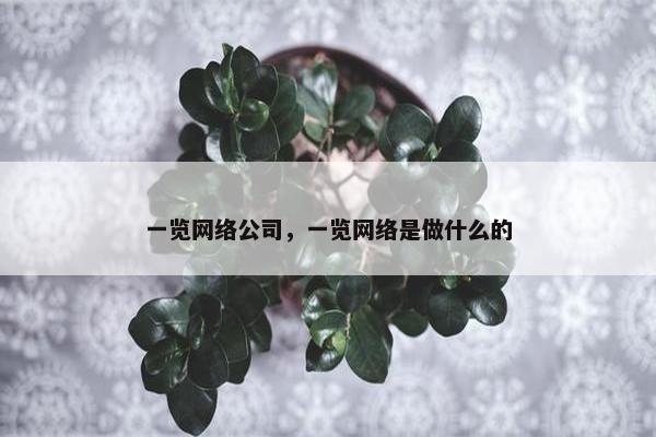 一览网络公司，一览网络是做什么的