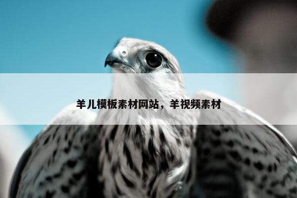 羊儿模板素材网站，羊视频素材