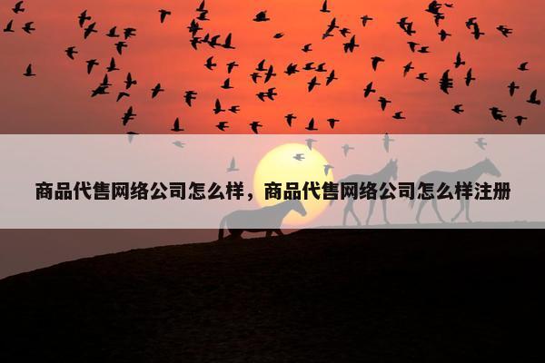 商品代售网络公司怎么样，商品代售网络公司怎么样注册