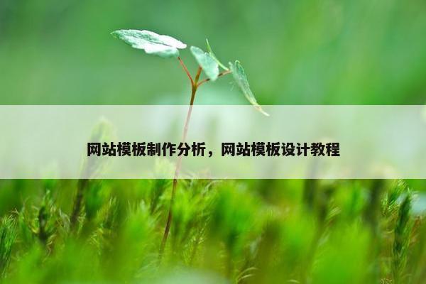 网站模板制作分析，网站模板设计教程
