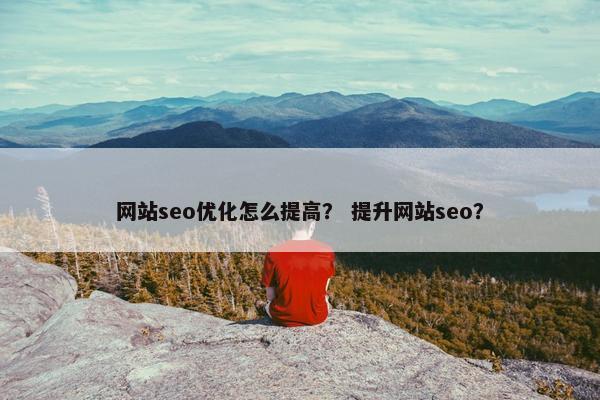 网站seo优化怎么提高？ 提升网站seo？
