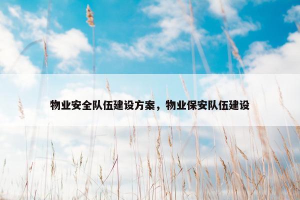物业安全队伍建设方案，物业保安队伍建设