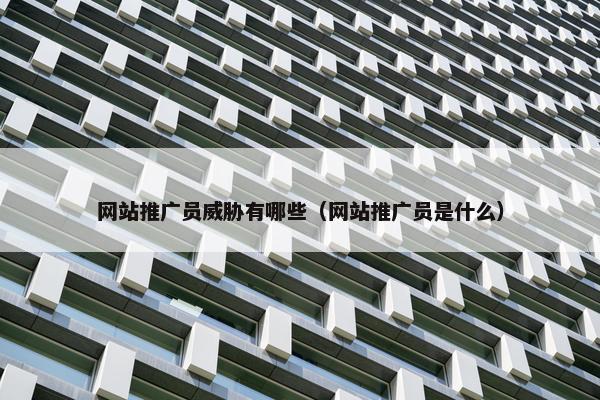 网站推广员威胁有哪些（网站推广员是什么）