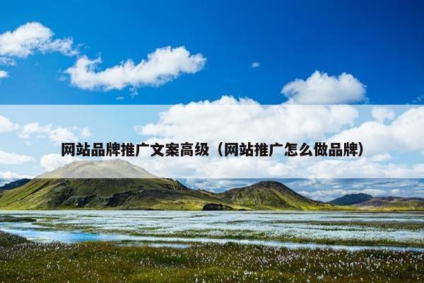 网站品牌推广文案高级（网站推广怎么做品牌）