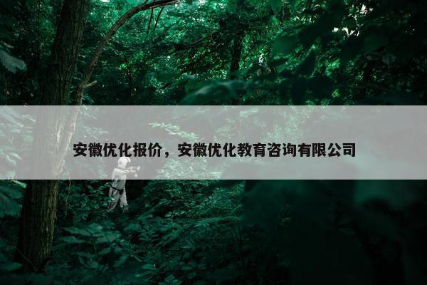 安徽优化报价，安徽优化教育咨询有限公司