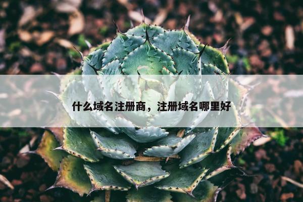 什么域名注册商，注册域名哪里好