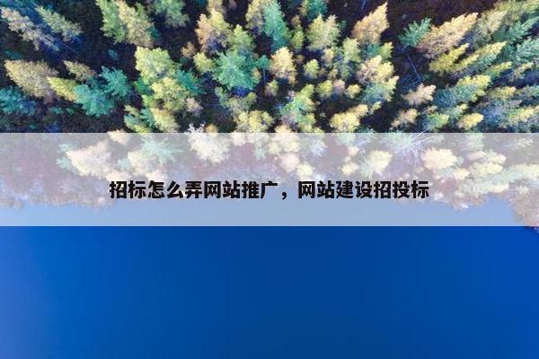 招标怎么弄网站推广，网站建设招投标