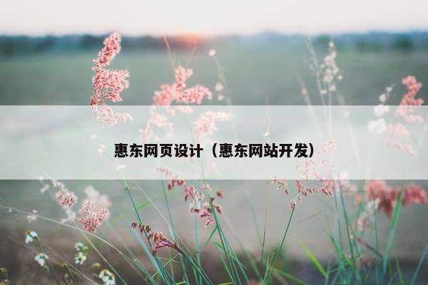 惠东网页设计（惠东网站开发）