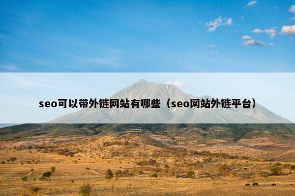seo可以带外链网站有哪些（seo网站外链平台）