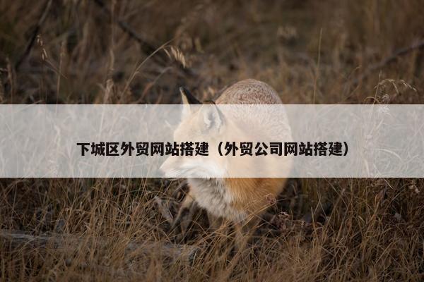 下城区外贸网站搭建（外贸公司网站搭建）