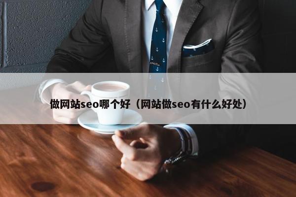 做网站seo哪个好（网站做seo有什么好处）