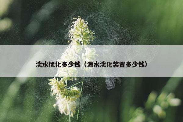 淡水优化多少钱（海水淡化装置多少钱）