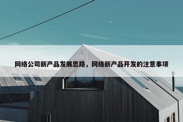 网络公司新产品发展思路，网络新产品开发的注意事项