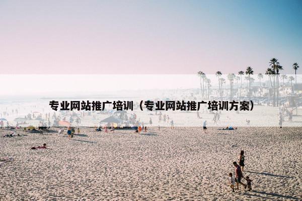 专业网站推广培训（专业网站推广培训方案）