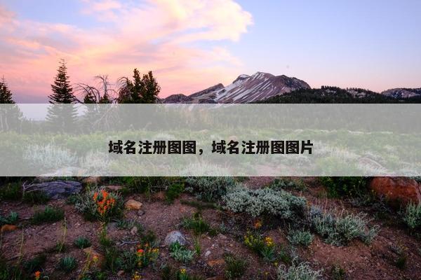 域名注册图图，域名注册图图片