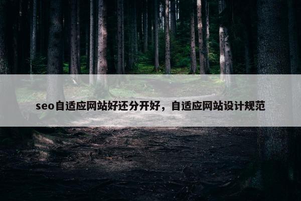 seo自适应网站好还分开好，自适应网站设计规范