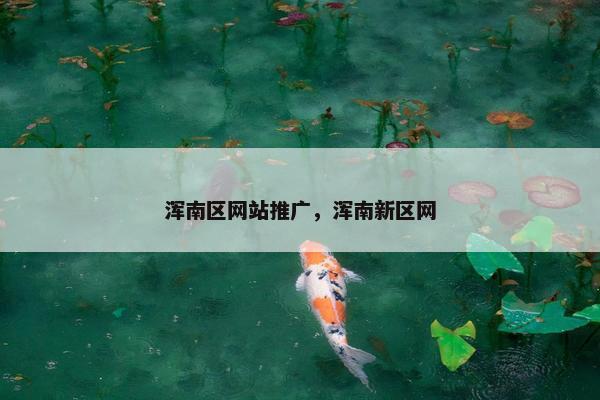 浑南区网站推广，浑南新区网