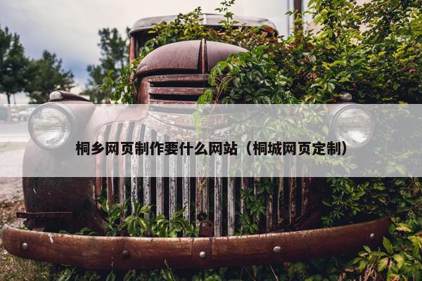 桐乡网页制作要什么网站（桐城网页定制）