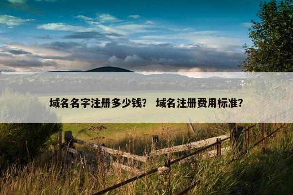 域名名字注册多少钱？ 域名注册费用标准？