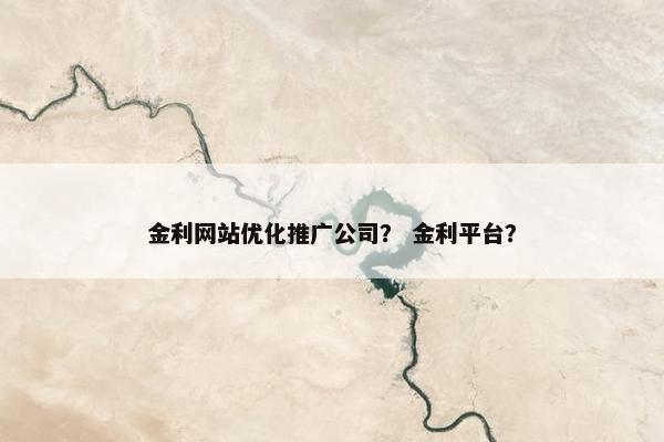 金利网站优化推广公司？ 金利平台？