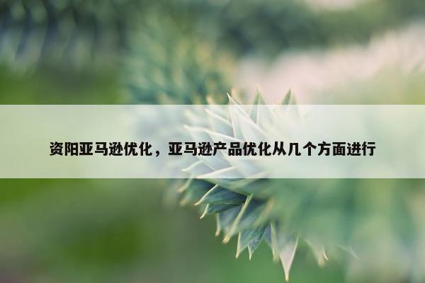 资阳亚马逊优化，亚马逊产品优化从几个方面进行