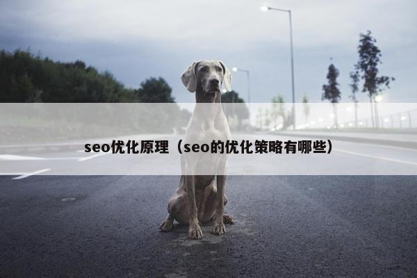 seo优化原理（seo的优化策略有哪些）