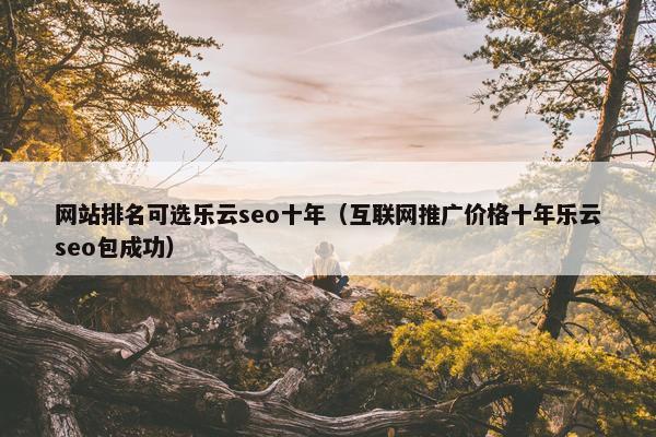 网站排名可选乐云seo十年（互联网推广价格十年乐云seo包成功）