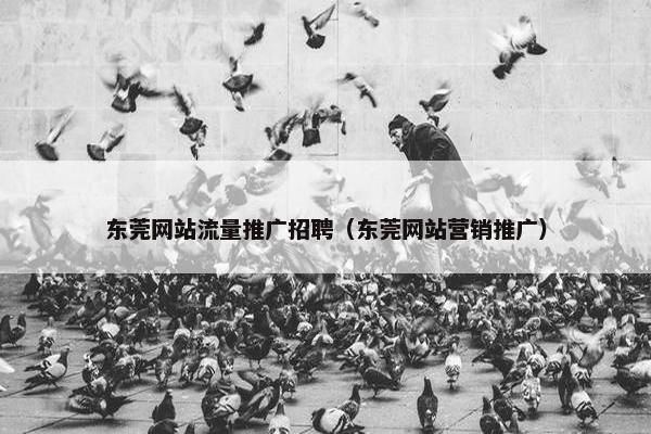 东莞网站流量推广招聘（东莞网站营销推广）