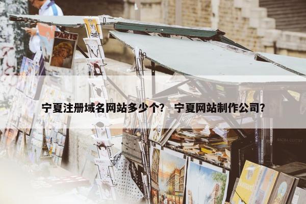 宁夏注册域名网站多少个？ 宁夏网站制作公司？