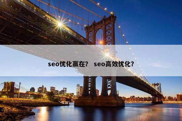 seo优化赢在？ seo高效优化？