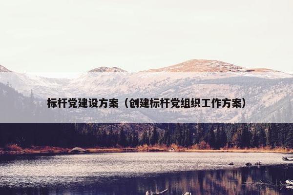 标杆党建设方案（创建标杆党组织工作方案）