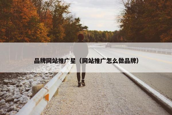 品牌网站推广星（网站推广怎么做品牌）