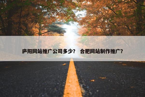 庐阳网站推广公司多少？ 合肥网站制作推广？