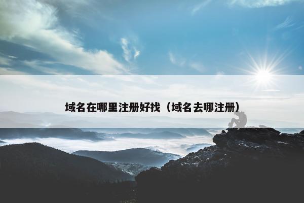 域名在哪里注册好找（域名去哪注册）