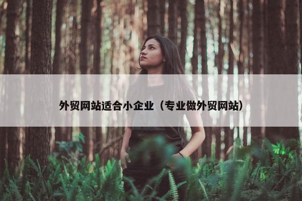外贸网站适合小企业（专业做外贸网站）