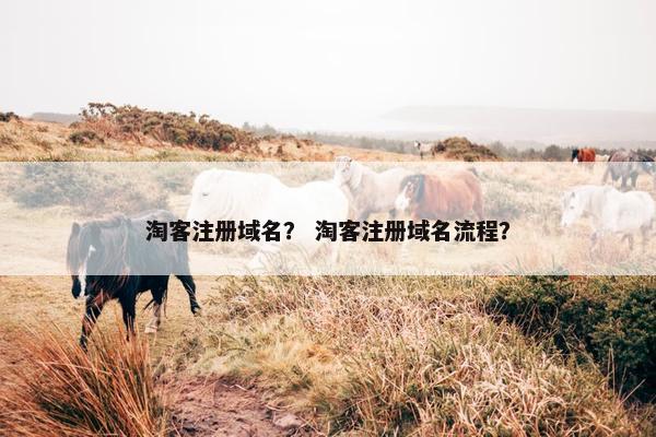 淘客注册域名？ 淘客注册域名流程？