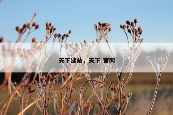 天下建站，天下 官网