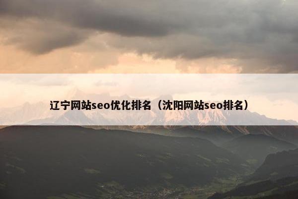 辽宁网站seo优化排名（沈阳网站seo排名）