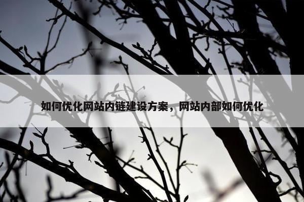 如何优化网站内链建设方案，网站内部如何优化