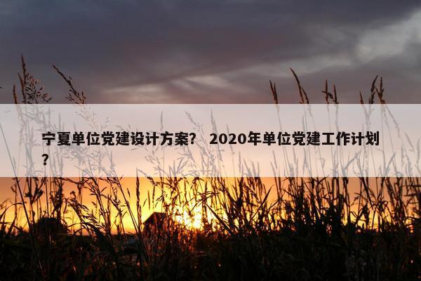 宁夏单位党建设计方案？ 2020年单位党建工作计划？
